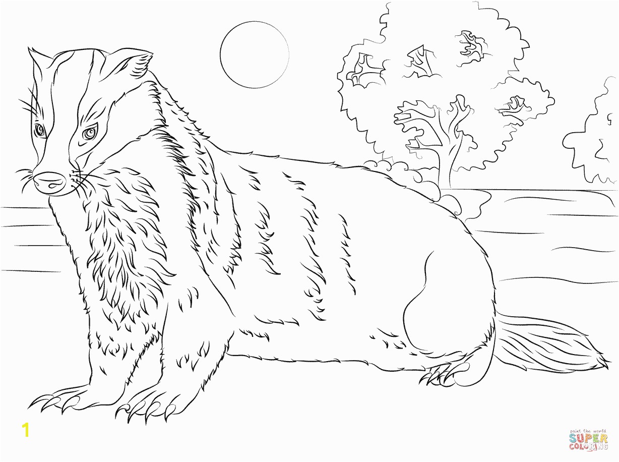 Unparalleled Honey Badger Coloring Page Free Printable Pages