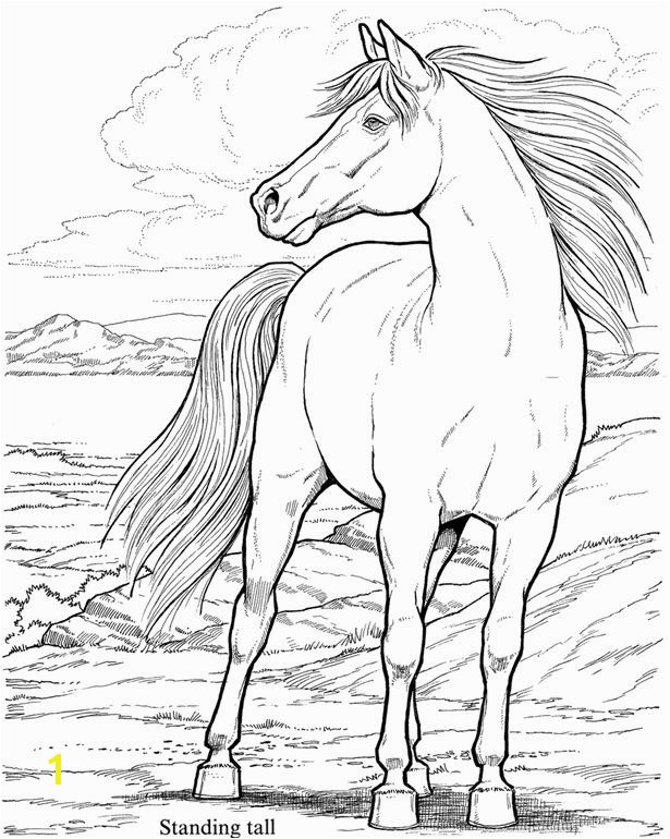 Coloring Page Horse 11