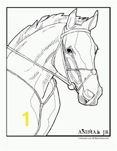 Free Horse To Color