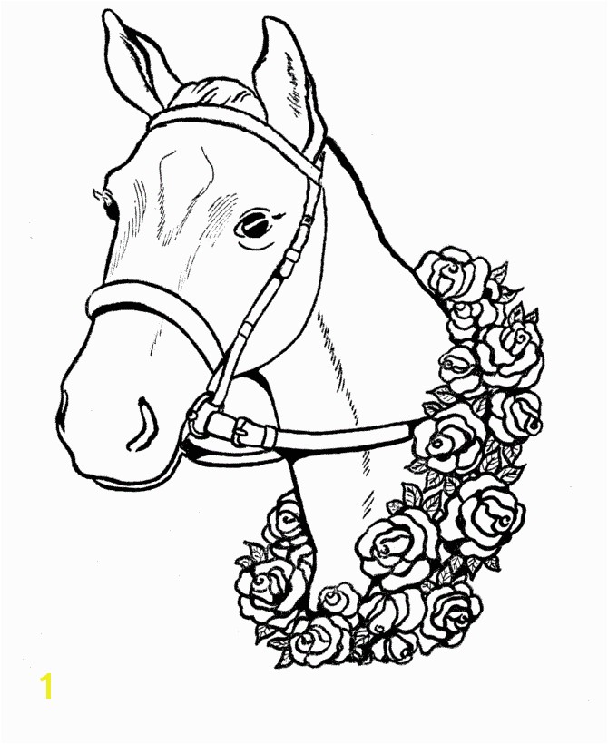 wild mustangs coloring pages