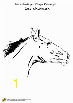 Horse Head Coloring Pages/ Printable Horse Coloring Horse Printable Coloring Pages