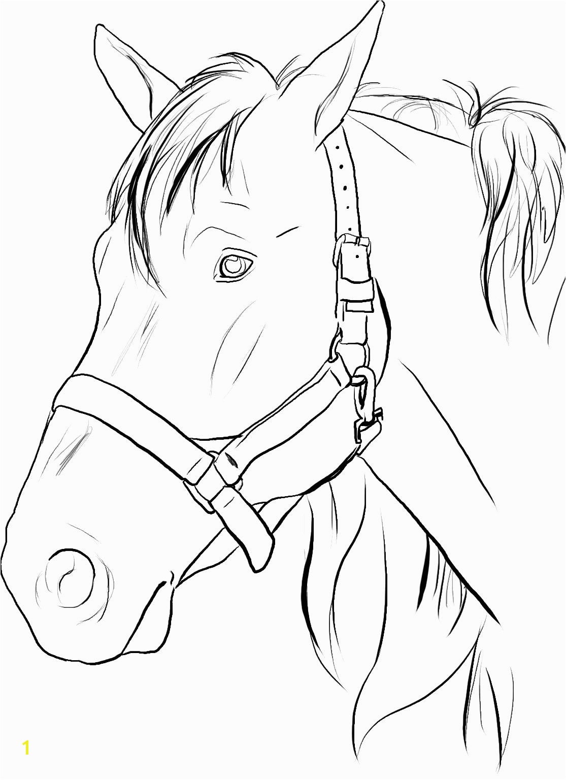 Horse Head Coloring Pages/ Printable Horse Head Coloring Pages to Print Google Search