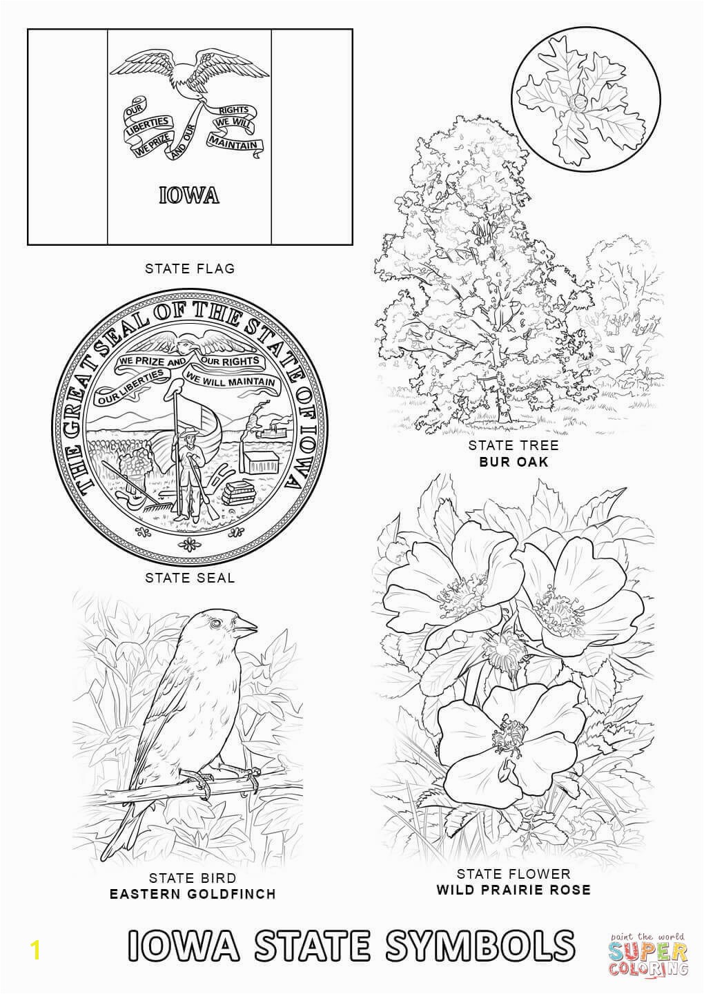 Iowa State Symbols Coloring Page Free Printable Pages With