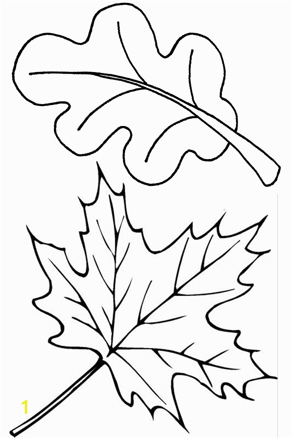 Two fall leaves coloring page Free Printable Coloring Pages