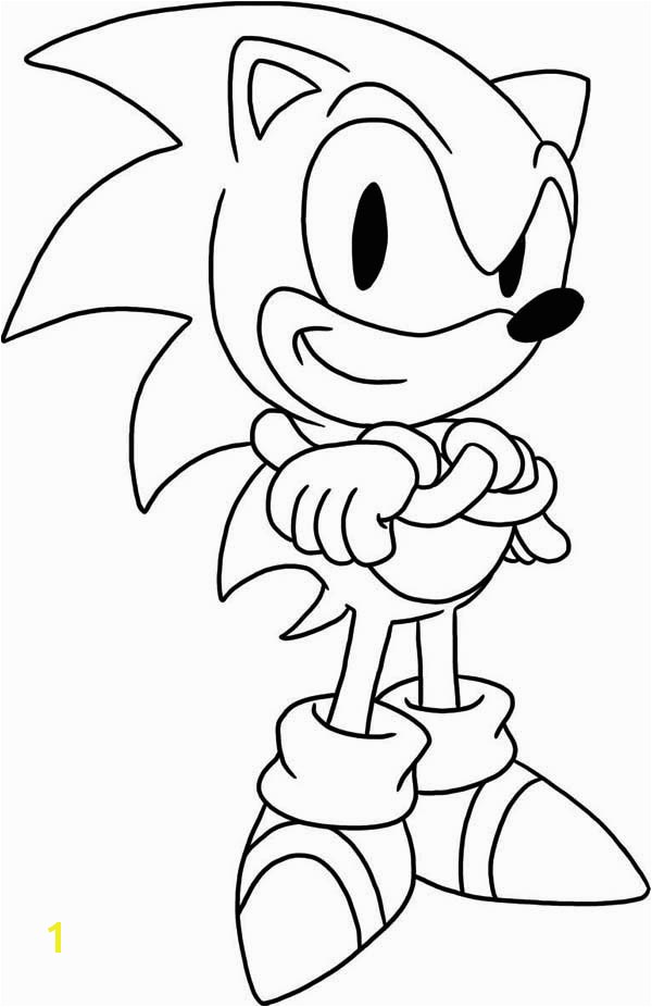 Sonic The Hedgehog Coloring Book Best 18awesome Sonic The Hedgehog Coloring Book Clip Arts &