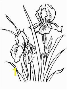 Iris coloring and printable page