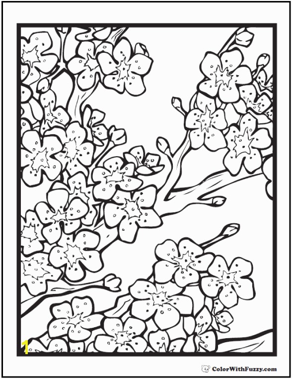 What a beautiful cherry blossom coloring page for adults