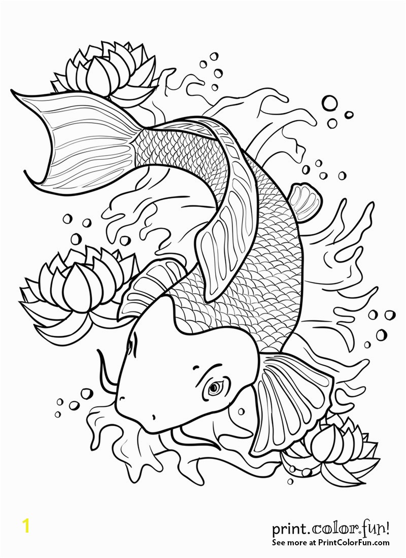 koi fish coloring sheet fish coloring pages for adults inspirational koi fish outline drawing at drawings fish coloring pages