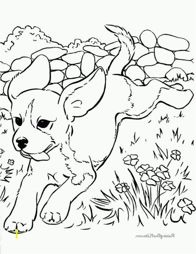 Joe Biden Coloring Pages | divyajanani.org