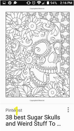 Creative Haven Day of the Dead Coloring Book amazing