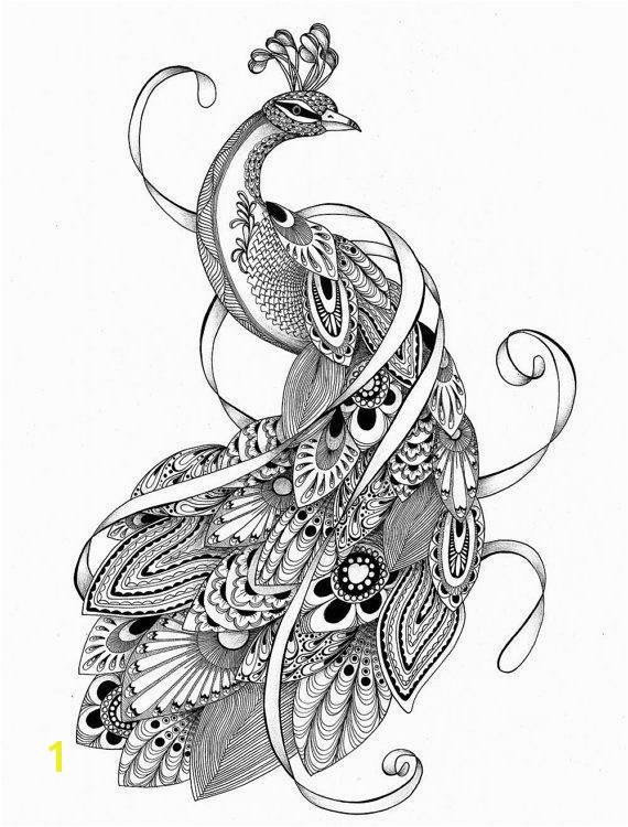 Kawasaki Coloring Pages Unique Advanced Peacock Coloring Pages New Printable Cds 0d – Fun Time Pics