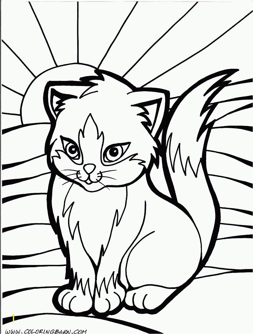 cat color pages printable Cat Kitten printable coloring pages