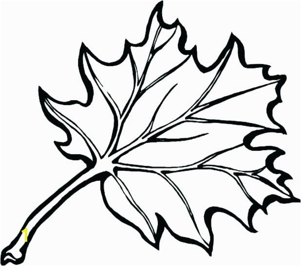 Autumn Leaf Coloring Pages Fall Leaf Coloring Page Draw Fall Leaves Coloring Pages About Remodel Picture Page With Free Big Free Printable Fall Leaves