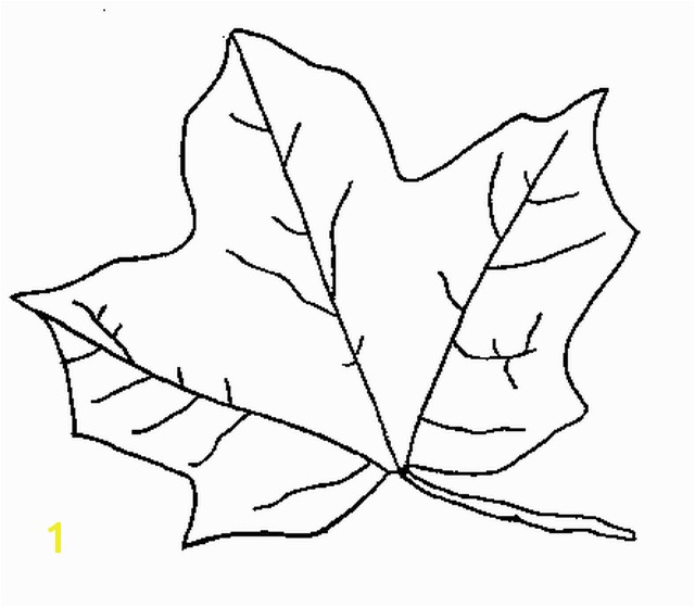 Leaf Coloring Pages The Sun Flower