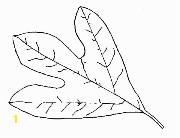 fall leaves coloring pages printable fall leaf coloring pages fall leaf coloring pages printable autumn leaves