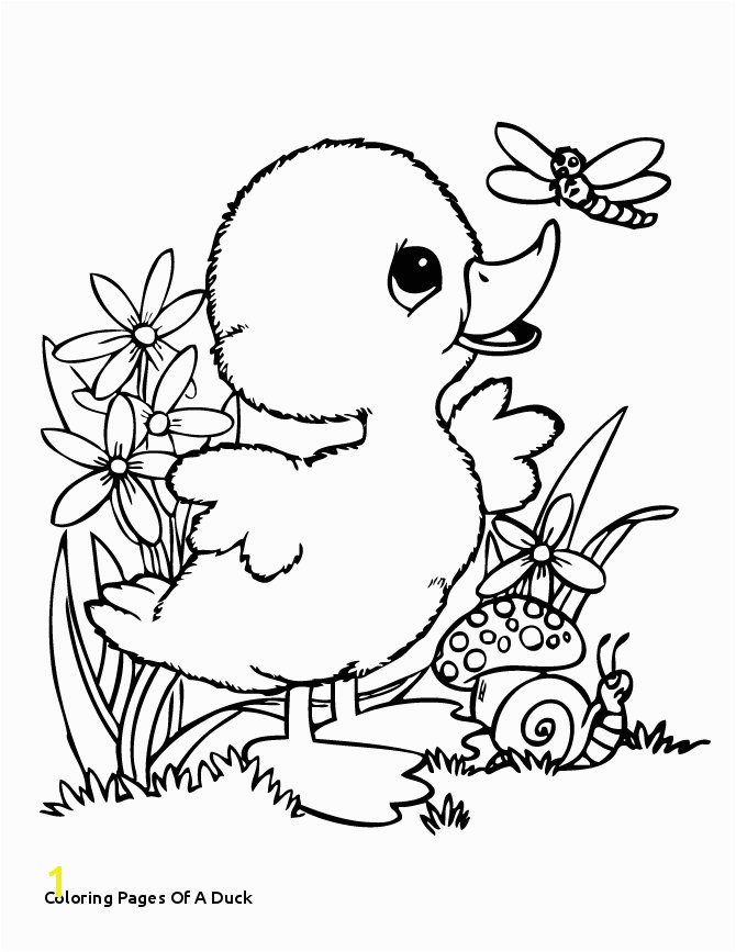 30 Coloring Pages A Duck