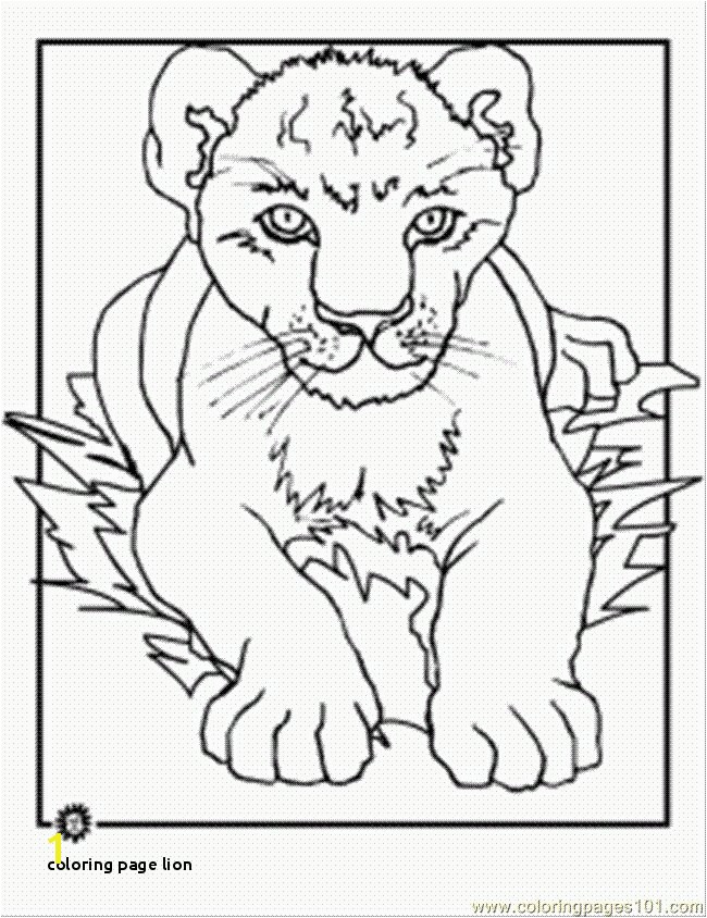 23 Coloring Page Lion