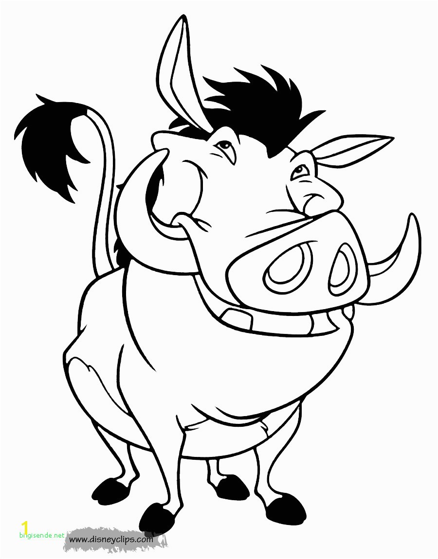 Lion King Coloring Pages Free Fresh Disney Vintage Coloring Books