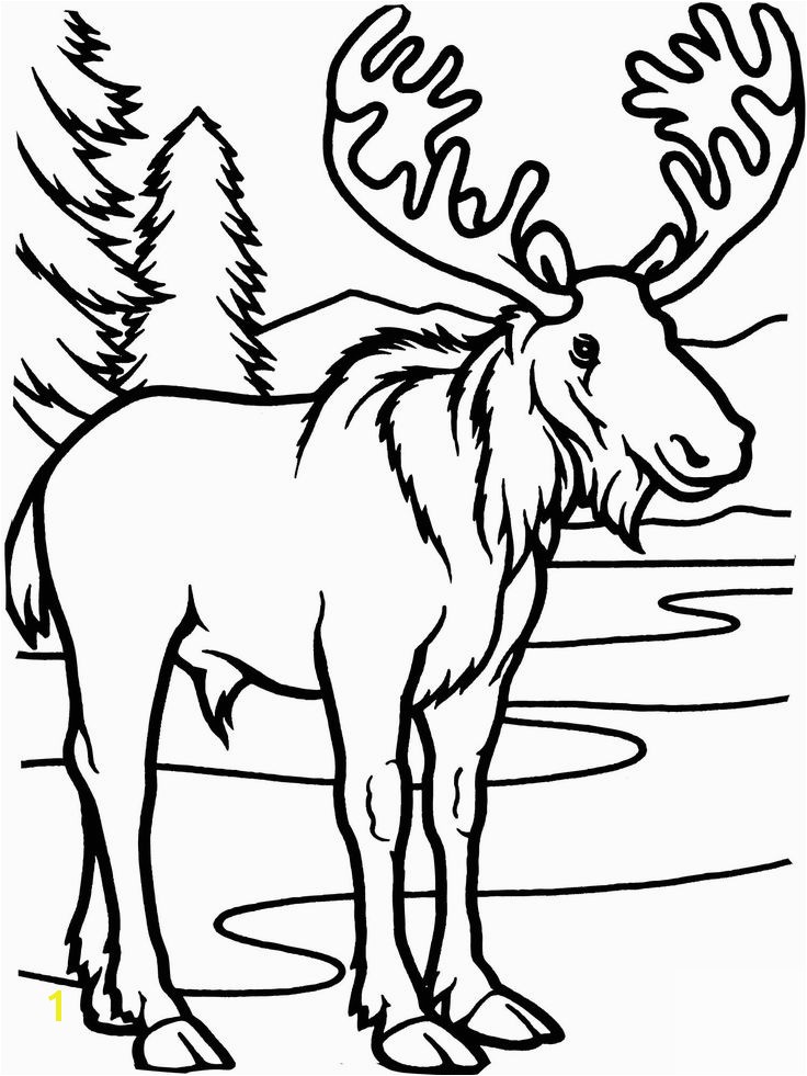 Moose Coloring Pages 1401 Best Color Page Pinterest