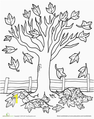 Fall Kindergarten Nature Worksheets Maple Tree Coloring Page Worksheet