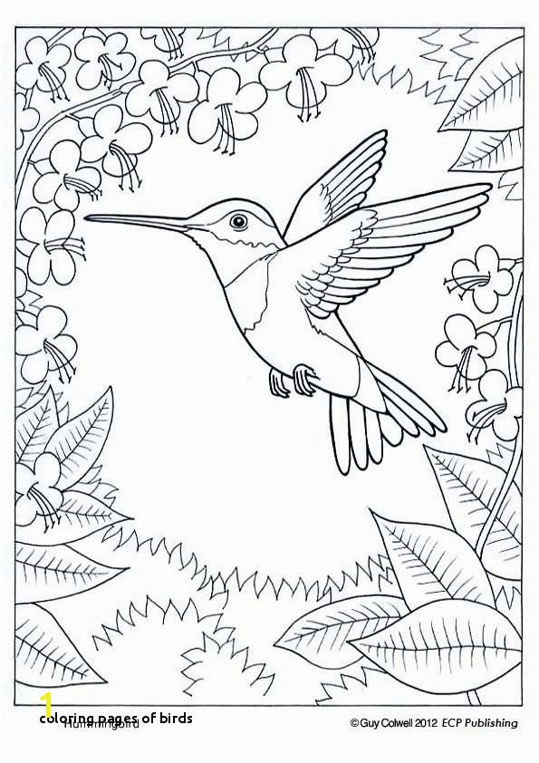 29 Coloring Pages Birds