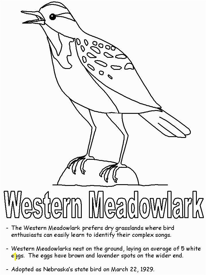 Meadowlark Coloring Page Beautiful Printable Bird Coloring Pages