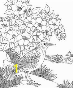 North Dakota Western Meadowlark Coloring Page