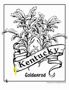 State Flower Coloring Pages Kentucky State Flower Coloring Page – Classroom Jr