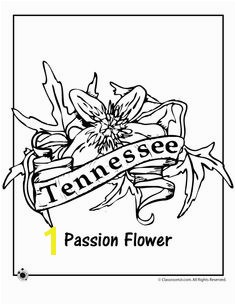 State Flower Coloring Pages Tennessee State Flower Coloring Page – Classroom Jr