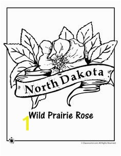 State Flower Coloring Pages North Dakota State Flower Coloring Page – Classroom Jr