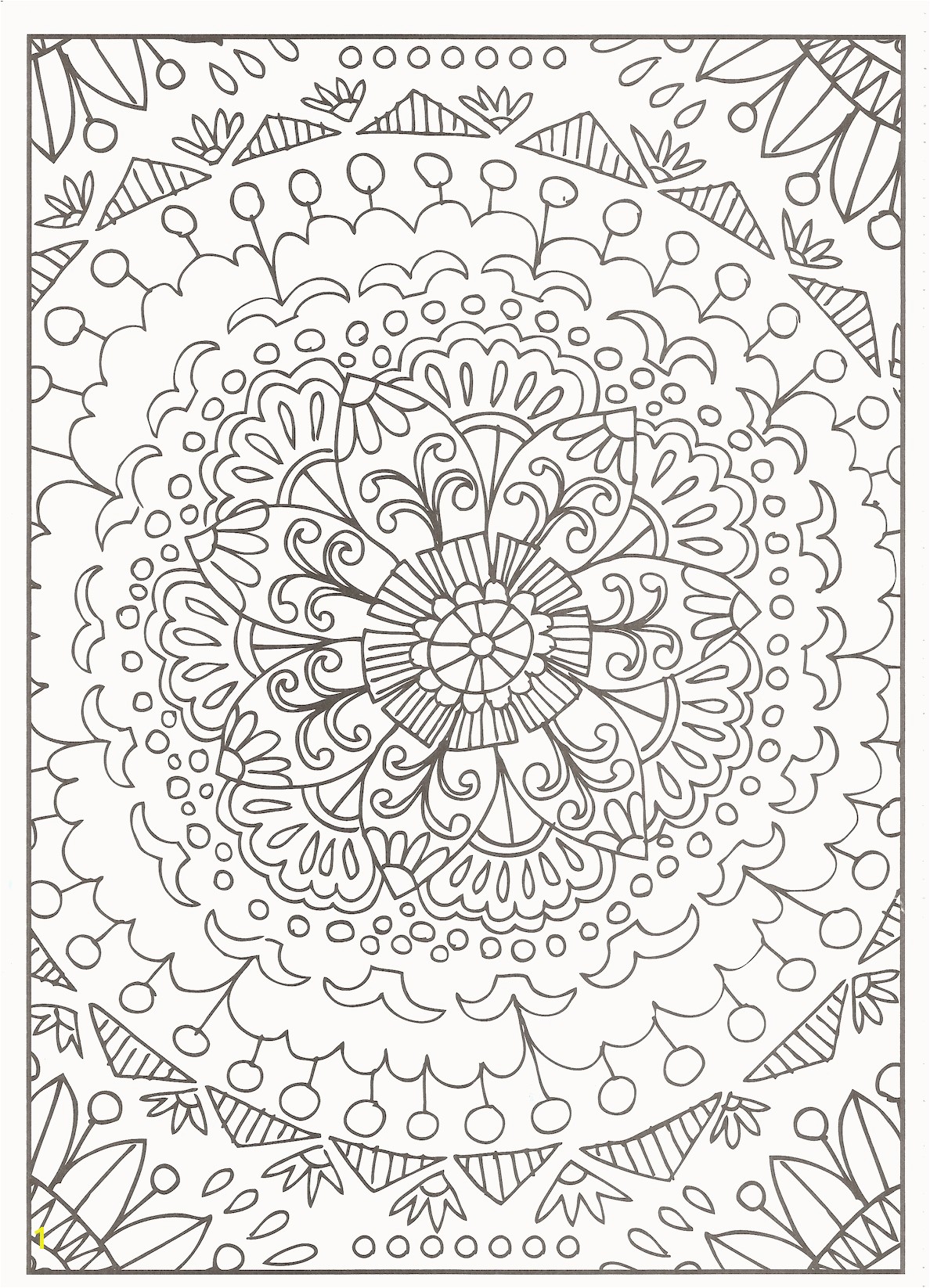 Mothra Coloring Pages Divyajanan