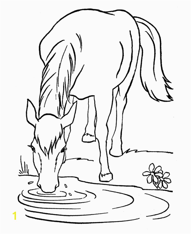 One Horse Open Sleigh Coloring Page Wild Horse Coloring Pages Horse Coloring Page