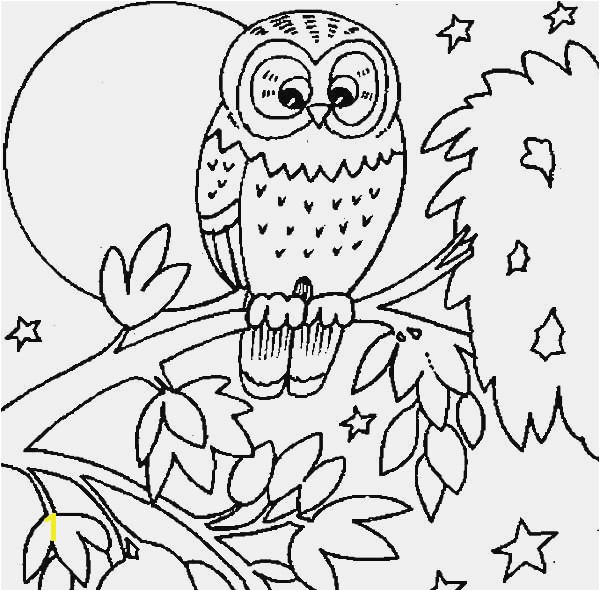 24 Tree Coloring Pages Picture 30 Fresh Graph Examples Owl In A Page