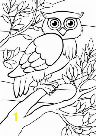 Owl In A Tree Coloring Page Coloring Pages Birds Cute Owl Sits the Tree Royalty Free