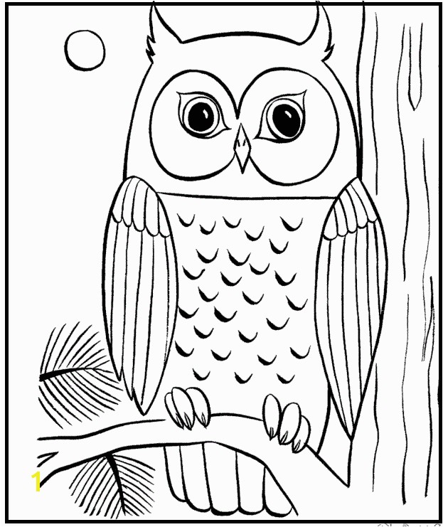 Owl In A Tree Coloring Page Owl Alighted the Big Tree Owls Pinterest