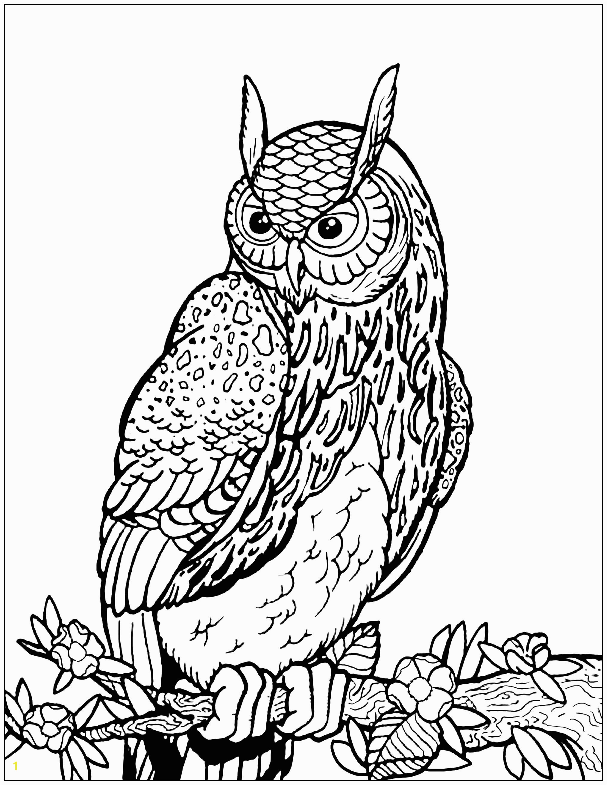 Owl In A Tree Coloring Page Owl On Tree Branch Owls Adult Coloring Pages