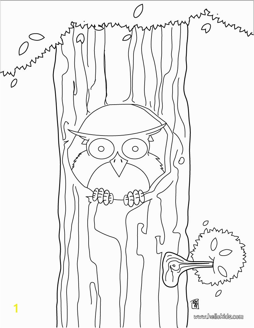 Owl In A Tree Coloring Page Owl Sitting On the Tree Coloring Pages Hellokids