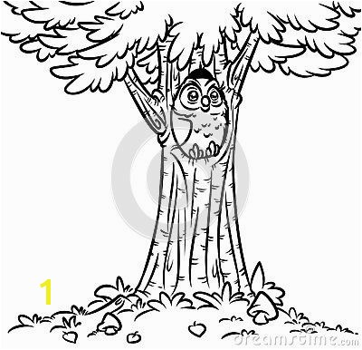 Owl tree fir coloring page cartoon illustration