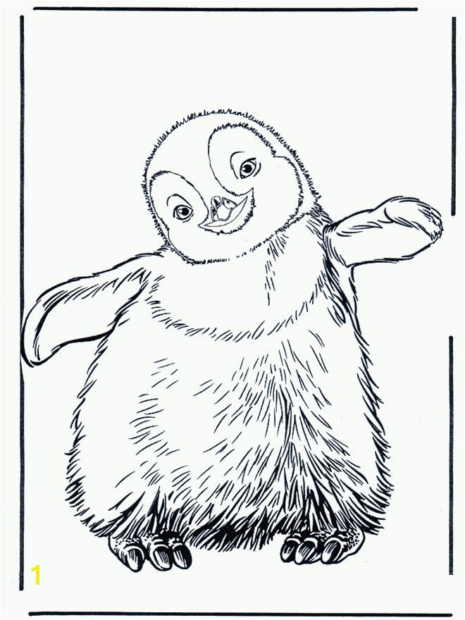 Penguin Coloring Book Unique 527 Best All Creatures Great And Small Colourings