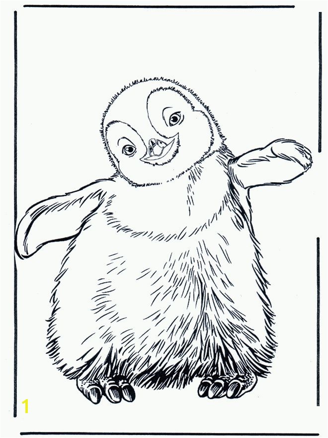 Penguin Coloring Book Unique 527 Best All Creatures Great And Small Colourings