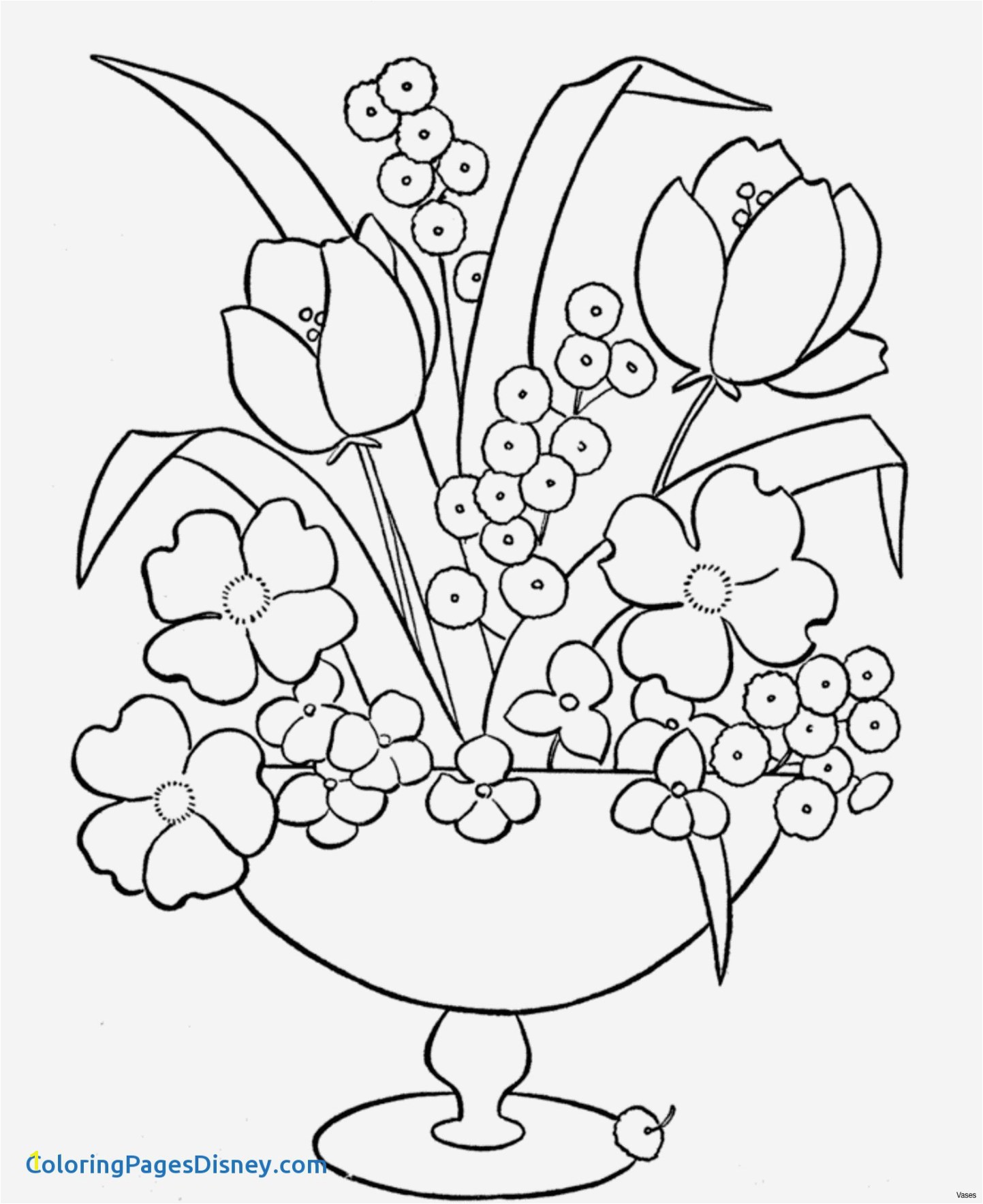 Phantom Menace Coloring Pages Witch Coloring Pages Luxury Nasturtium Coloring Pages Inspirational