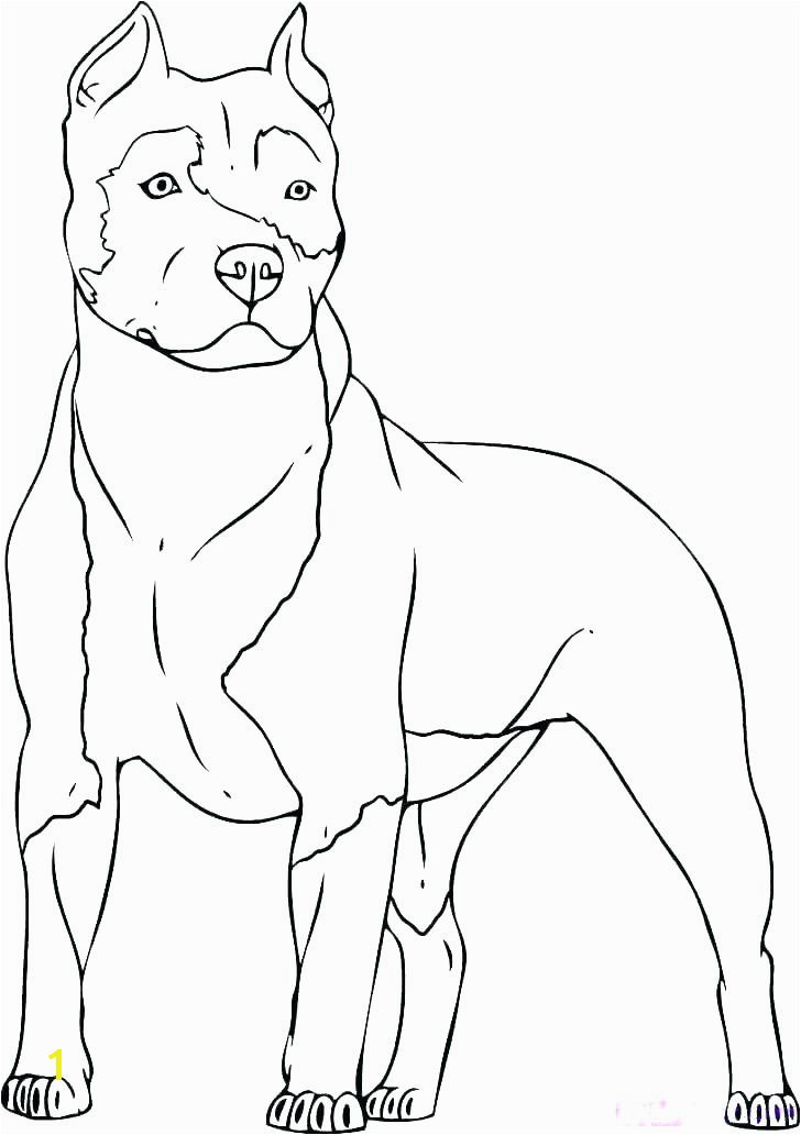 Police Dog Coloring Pages Printable Dog to Color and Print Coloring Book Dogs Dog Coloring