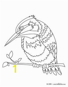 Pretty Bird Coloring Pages 64 Realistic and Detailed Kingfisher Bird Coloring Pages for Adults