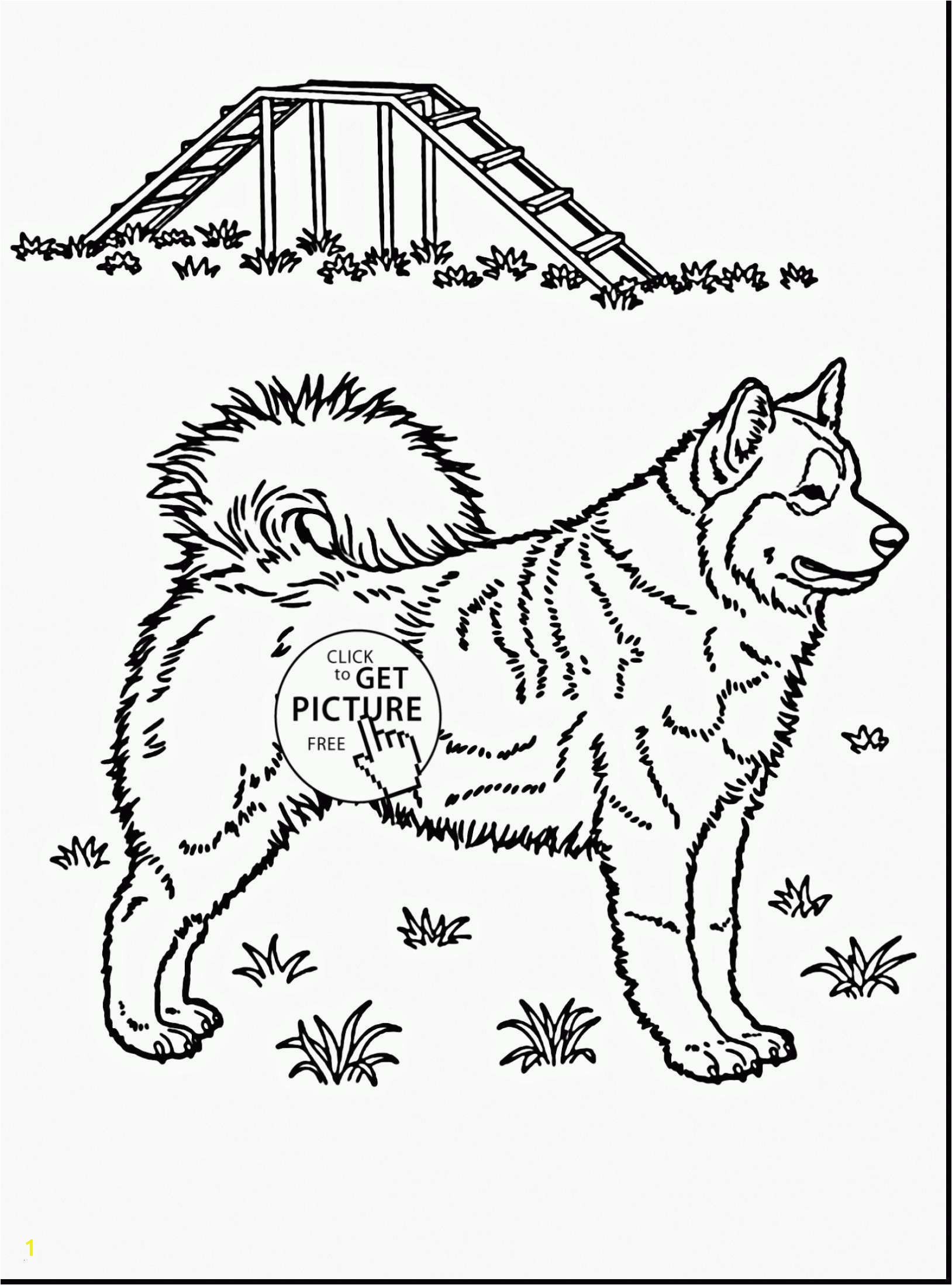 Husky Coloring Pages Elegant Husky Coloring Pages Beautiful Husky Coloring 0d Free Coloring Pages Drawing Indian