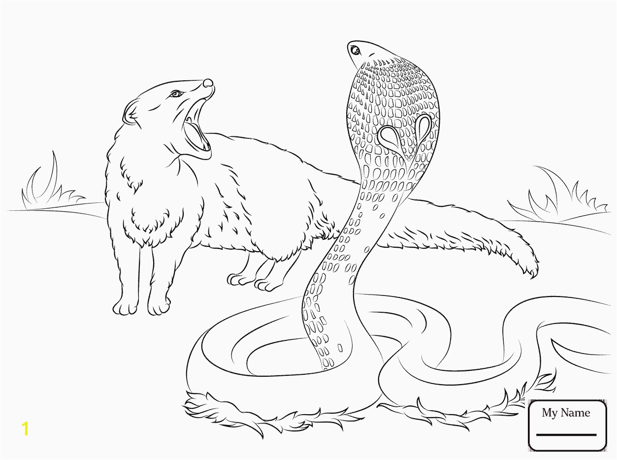 Printable Animal Coloring Pages Awesome Drawing Printables 0d Archives Se Telefonyfo – Fun Time
