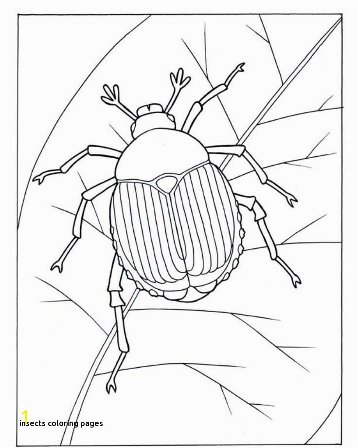 Printable Bug Coloring Pages Bugs Bunny Coloring Pages Awesome Coloring Pages for Girls Lovely