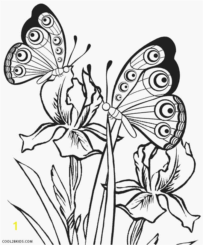 Butterflies Coloring Pages