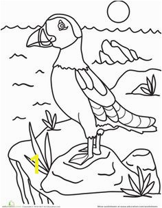 Puffin Coloring Pages to Print Birds Book E