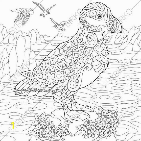 Puffin Coloring Pages Animal coloring book pages for Adults Instant Download Print