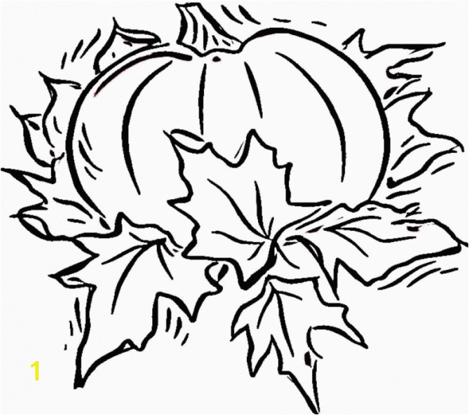 Pumpkin and Leaves Coloring Pages Pumpkin with Leaves Coloring Page Pumpkin Leaves Drawing at